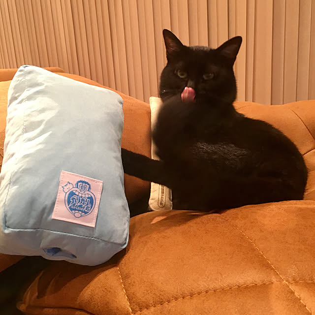 pitaさんの実例写真