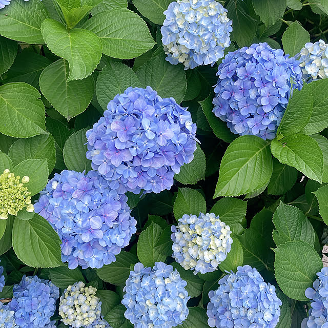 ooonyakoooさんの部屋