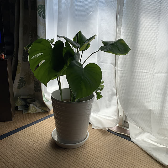 ryoさんの実例写真
