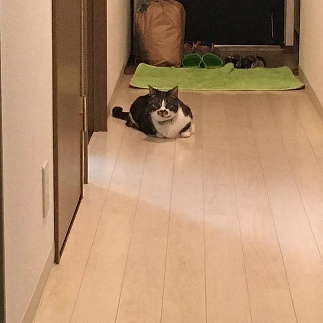 oceanianさんの実例写真