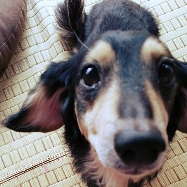 bonkiyoさんの実例写真