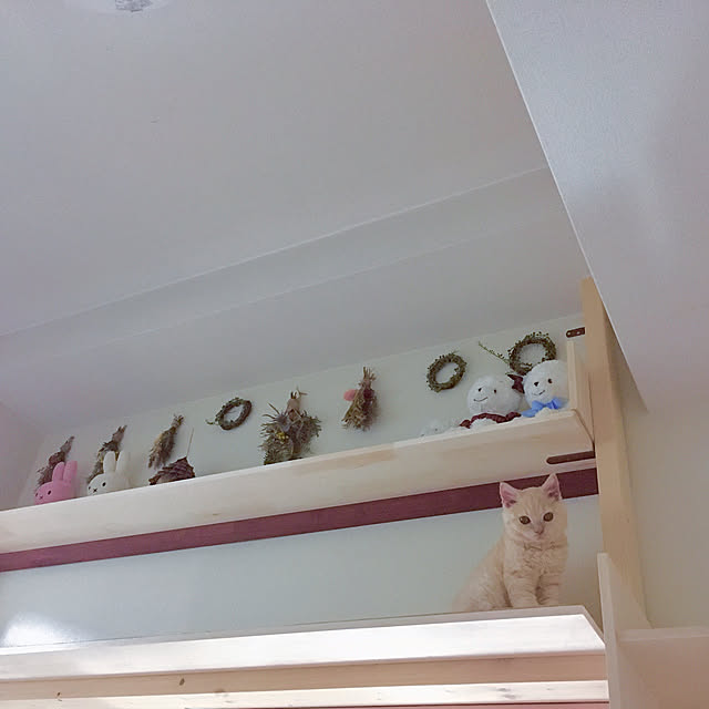 naokoさんの実例写真