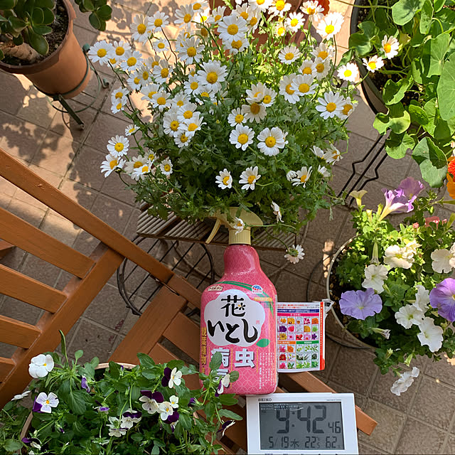Aqettyさんの実例写真
