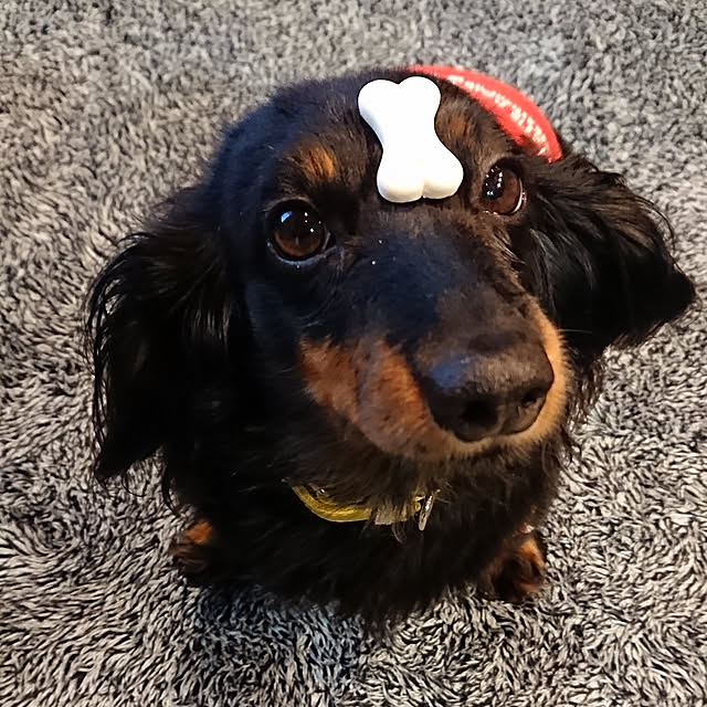 tomopiさんの実例写真