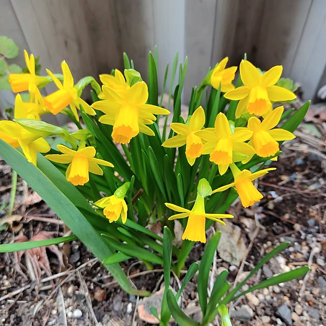 kiraさんの実例写真