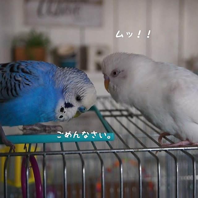 karinさんの実例写真