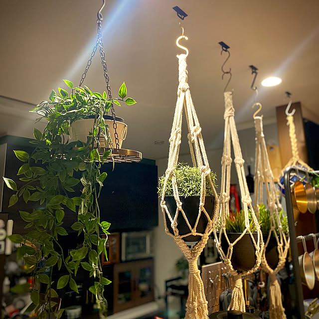 RRRLさんの実例写真