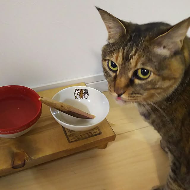 Yukoさんの実例写真