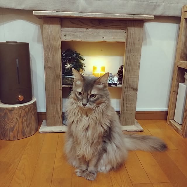 luke.solさんの実例写真