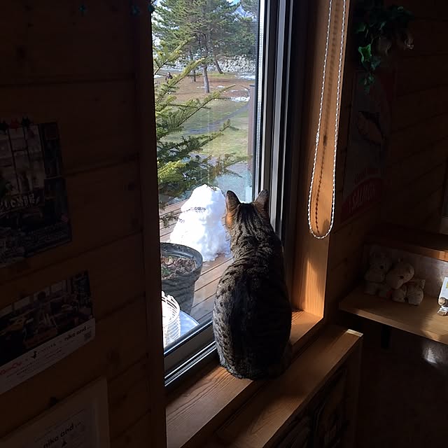 takammyさんの実例写真