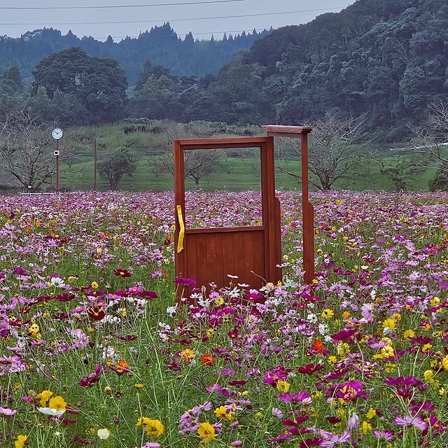 mocomocoさんの部屋