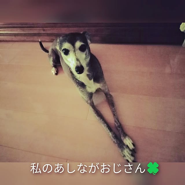 moruさんの部屋