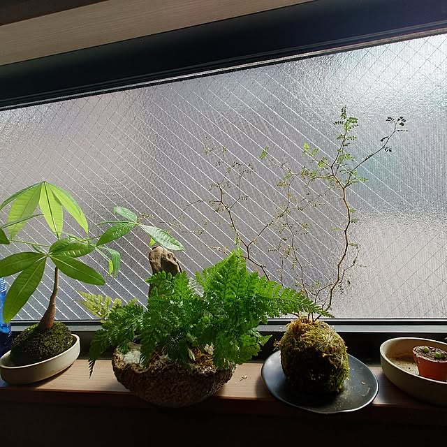 shi24451さんの部屋