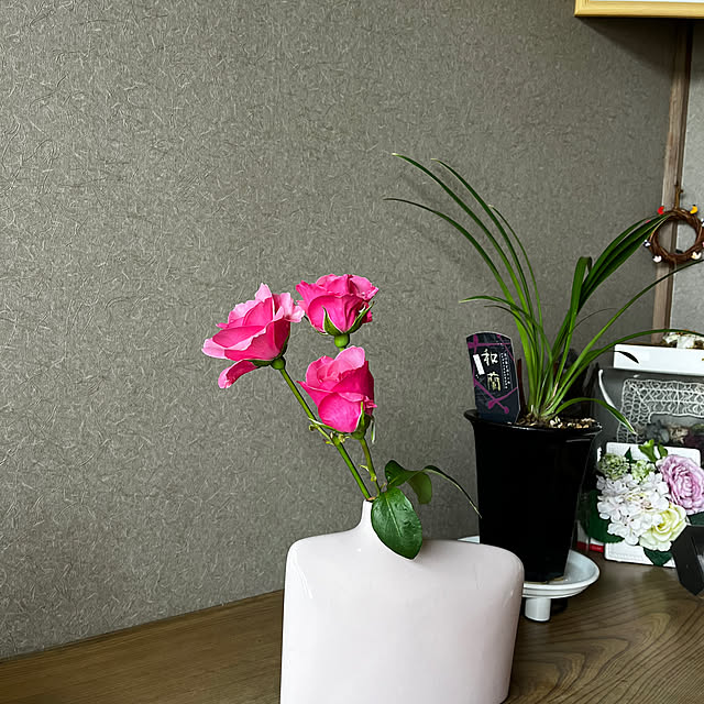 eshinobumさんの実例写真