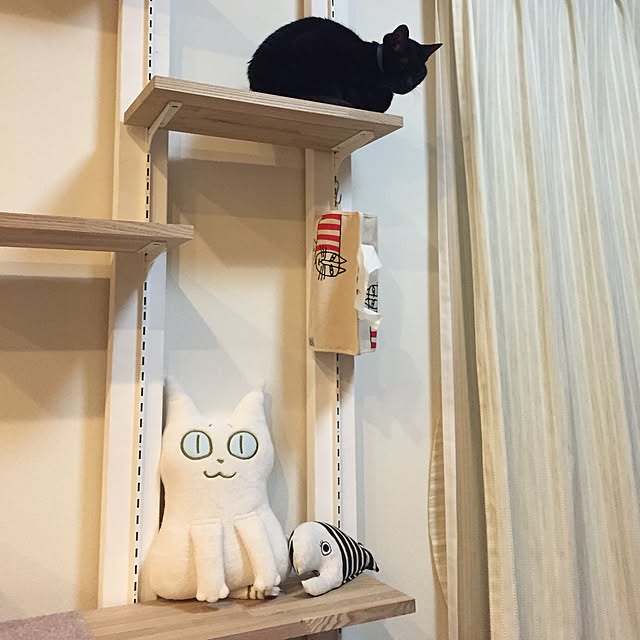 yuki0511さんの実例写真
