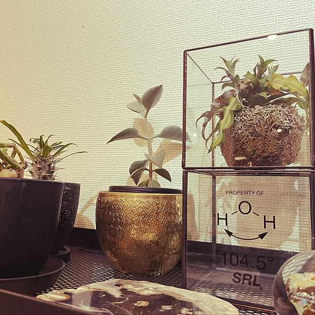 leoさんの実例写真