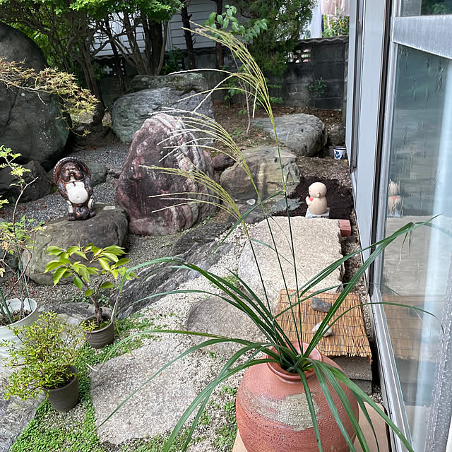 shin0719さんの実例写真