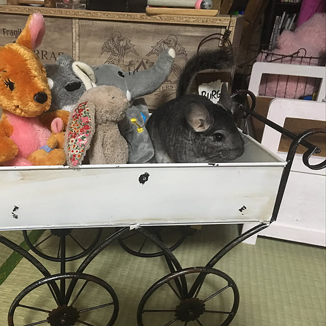bambiさんの実例写真