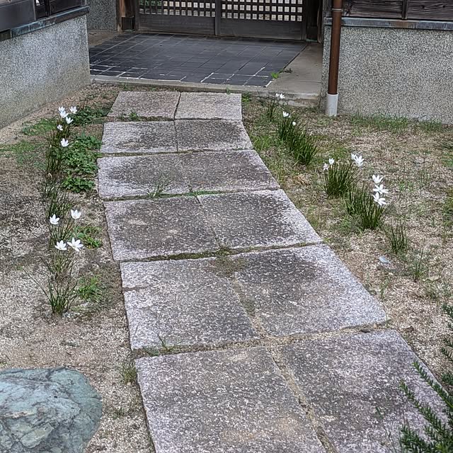 kuririnmamaさんの部屋