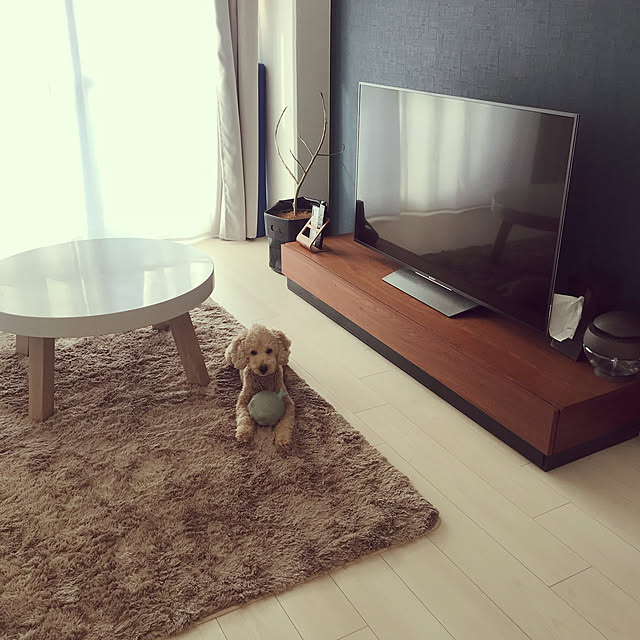 YOOOKOさんの実例写真