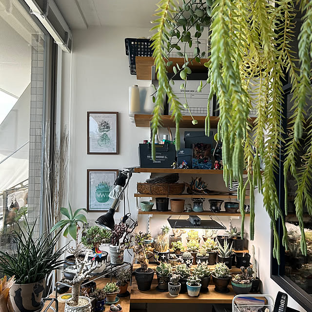 Rさんの実例写真