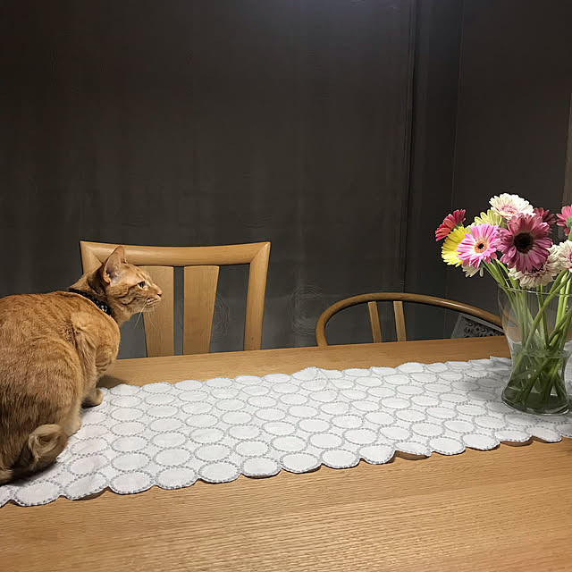 mtkさんの実例写真