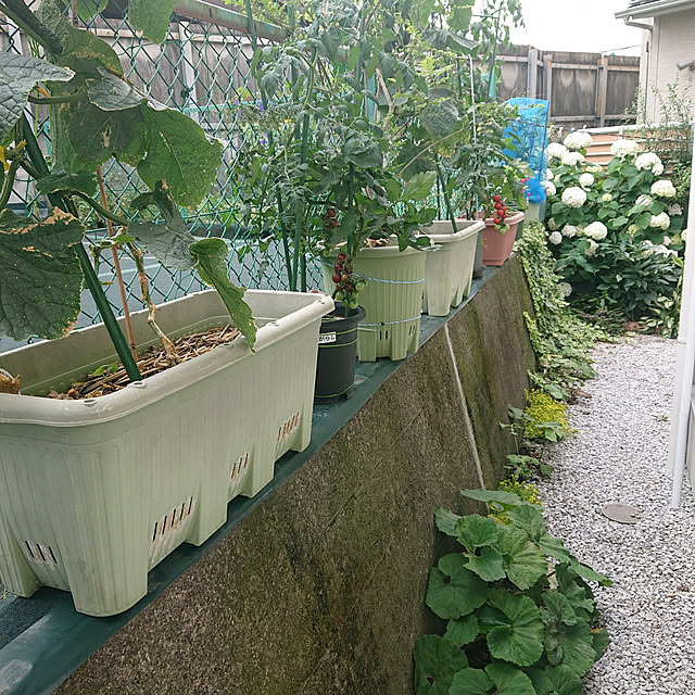chikoさんの実例写真
