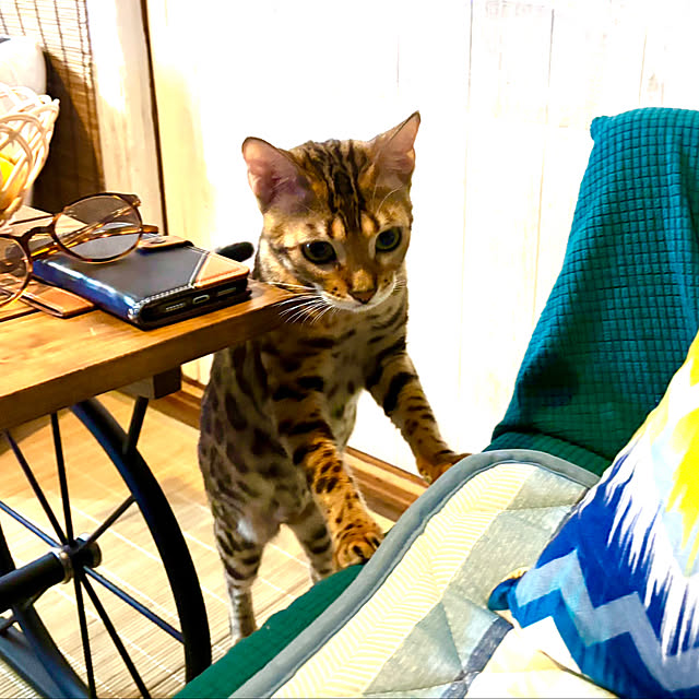 tututu0204さんの部屋