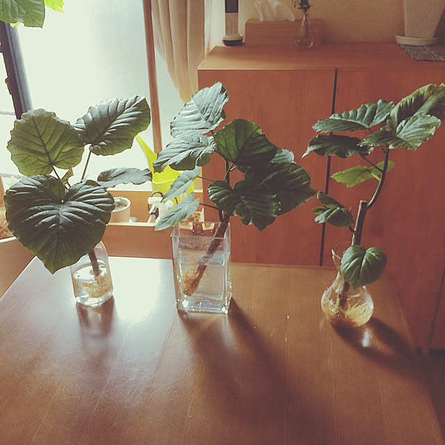 yukaさんの実例写真