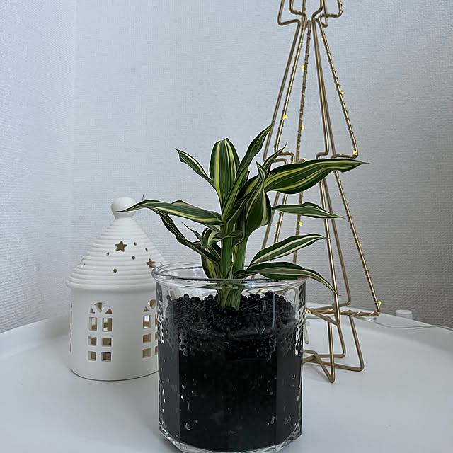 cocoさんの部屋