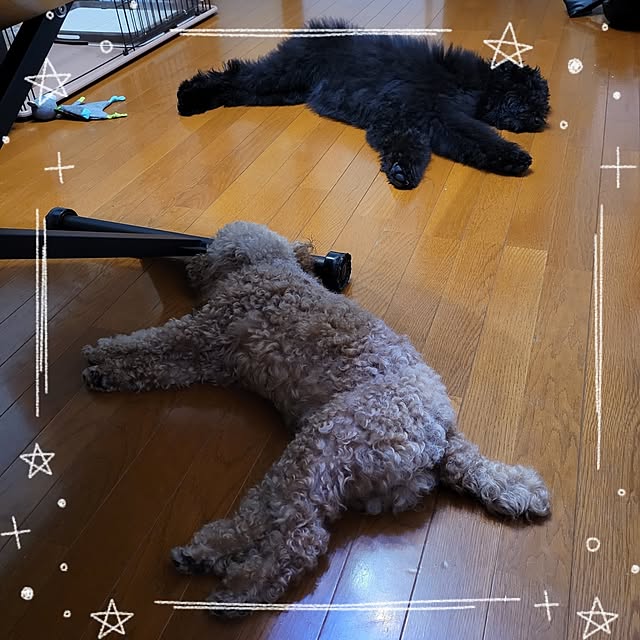 mimi828さんの実例写真