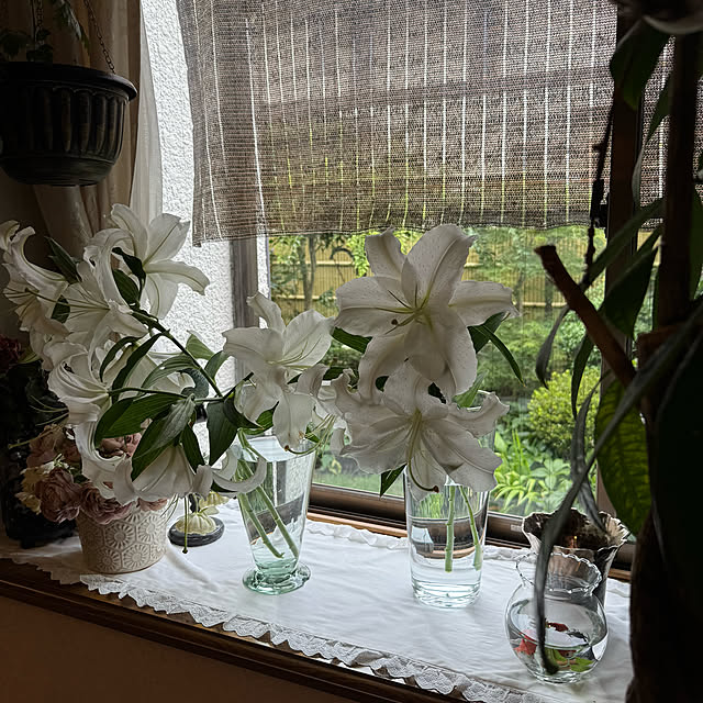 mamizaさんの実例写真