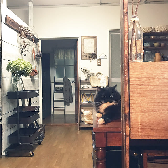 mucc08さんの実例写真