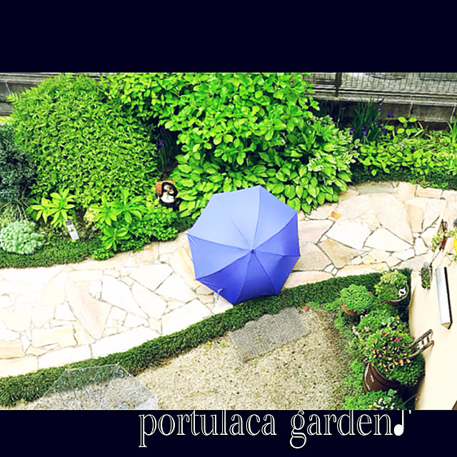 portulacaさんの実例写真