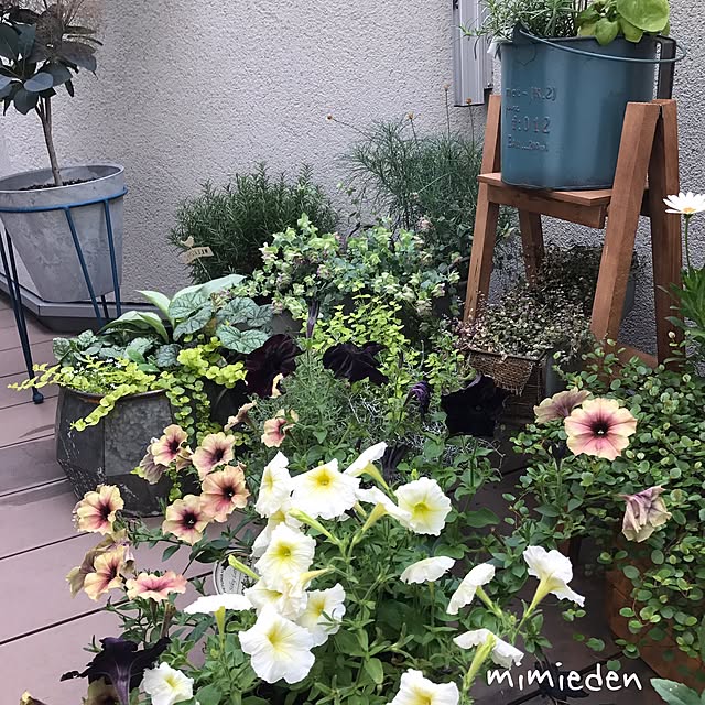 mimiedenさんの実例写真