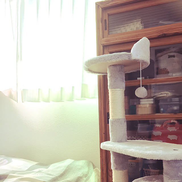 amaさんの実例写真