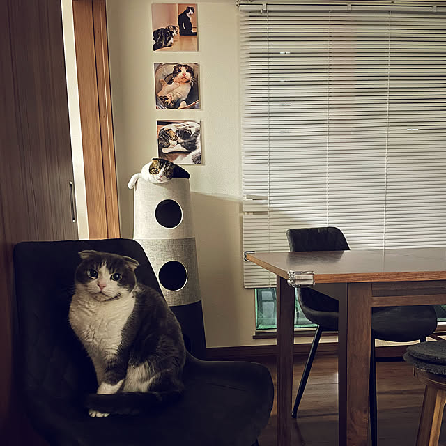 tansukeさんの実例写真