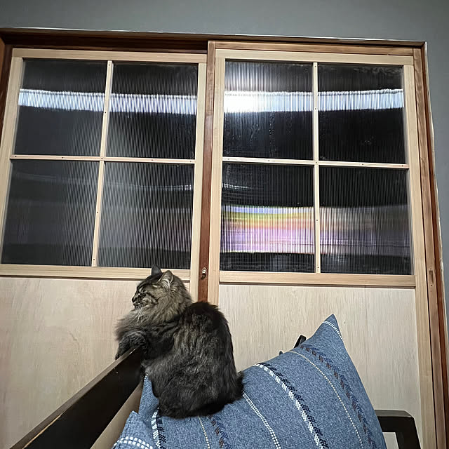 ykk210さんの実例写真