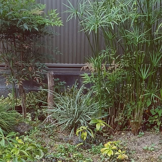 hiro.904さんの実例写真