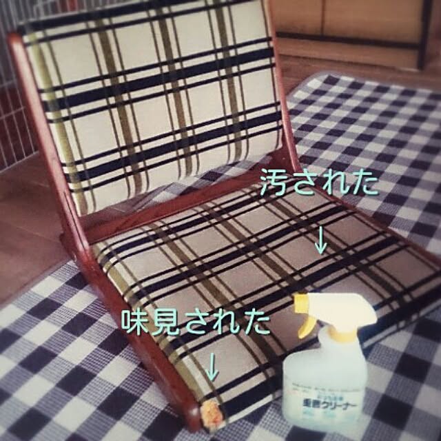 negiさんの実例写真