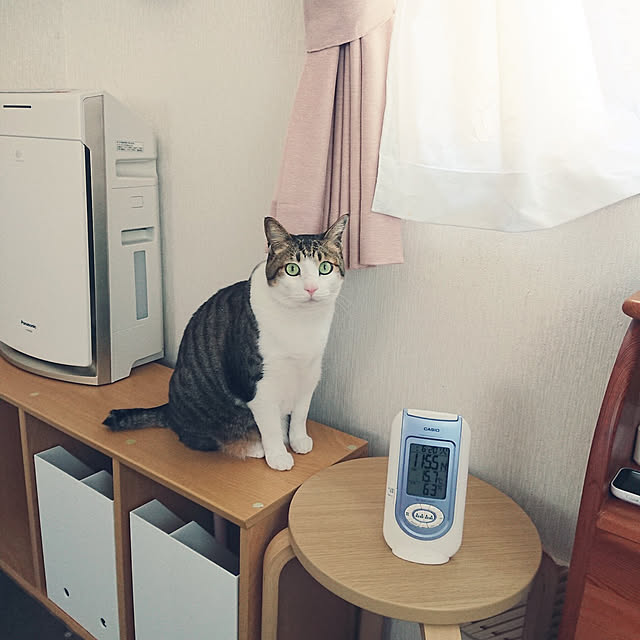 nachiさんの実例写真