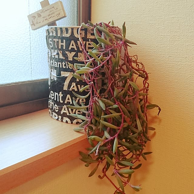 andさんの実例写真