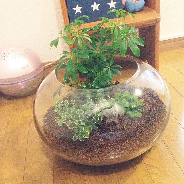 jinjinさんの実例写真