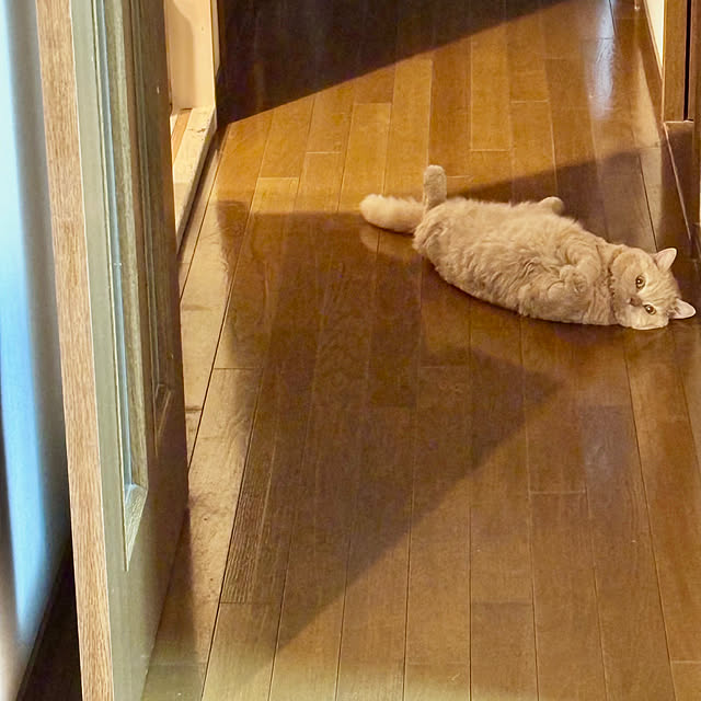 naokoさんの実例写真
