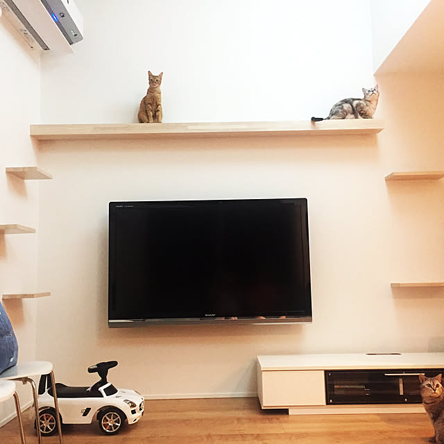 funikoさんの実例写真