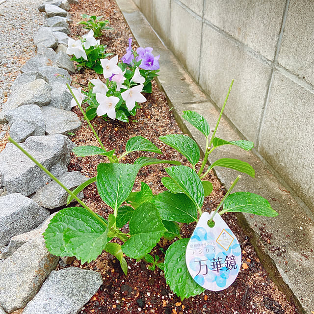 fumofumoさんの実例写真