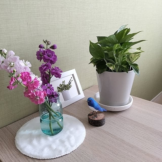 coco0.84.さんの部屋