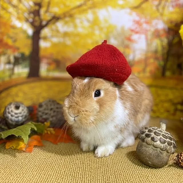 aiさんの部屋