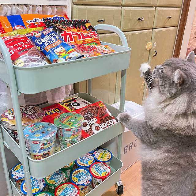 mii-tanさんの実例写真