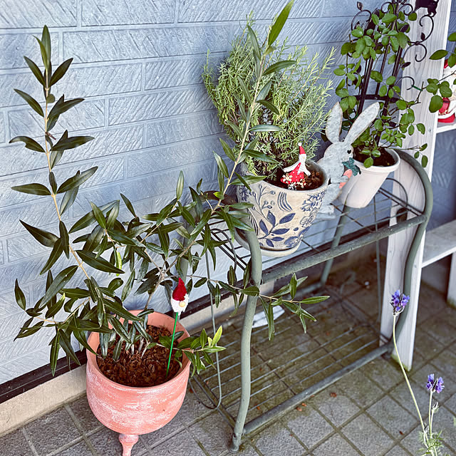 CoCo0617さんの部屋